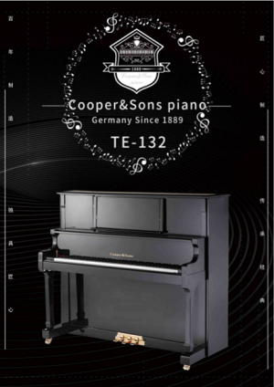 津南区专业的维修钢琴哪家好